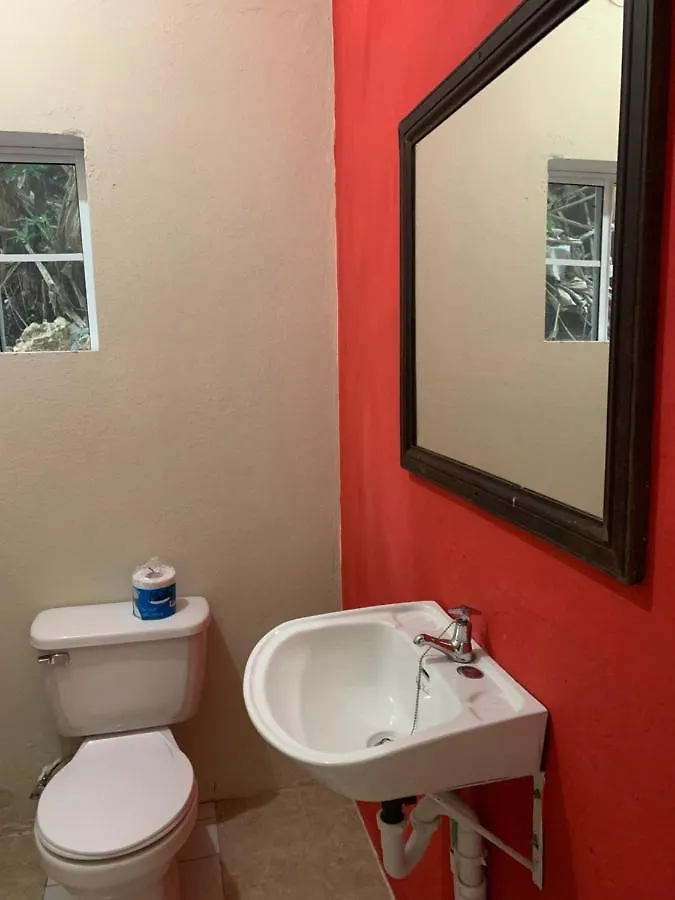 Kingsworth Bed And Breakfast Kingston